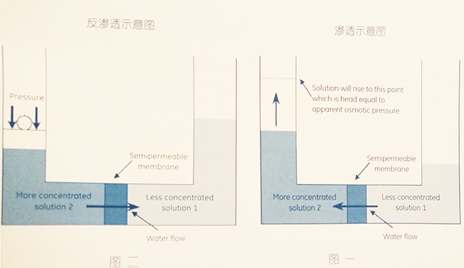 滲透示意圖